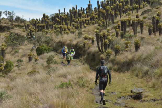 Atletismo