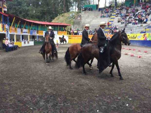 Los caballos, en las distintas categorías, se lucieron ante los espectadores.