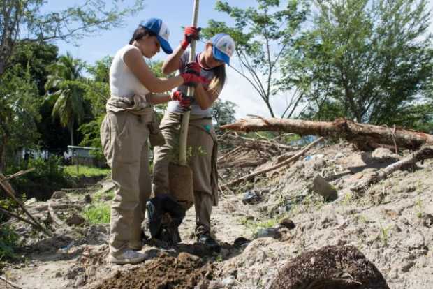 Plantan 200 árboles para darle aire al caño San Javier en La Dorada (Caldas)