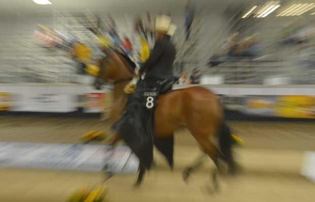 Diplomática de la Tranquera, del criadero Trinidad de Risaralda (Caldas) hizo parte del lote de 90 caballos que desde la tarde h