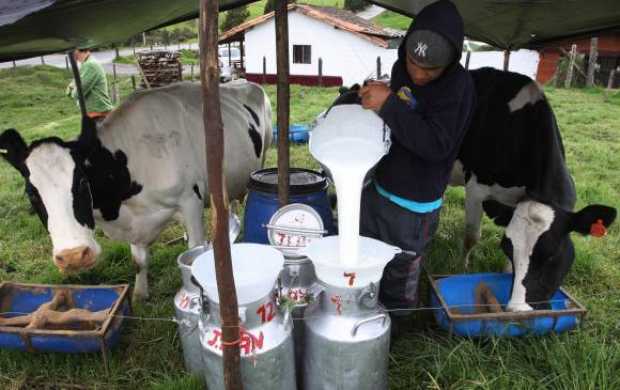 Colombia ya puede exportar productos con leche nacional a la Unión Europea