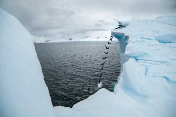 El clavadista Orlando Duque conquistó la Antártida y saltó desde dos icebergs