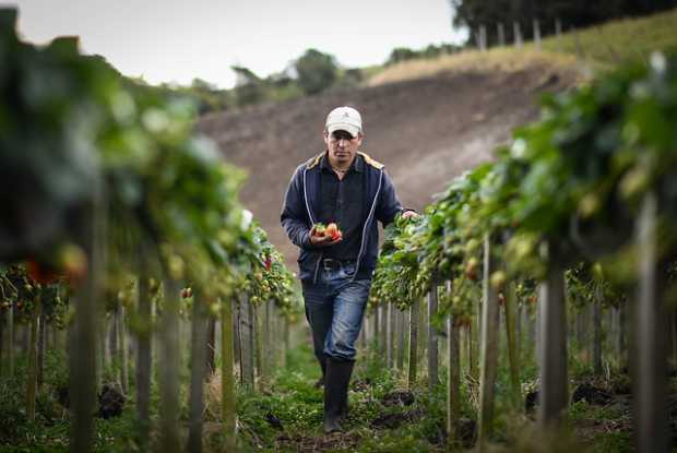 Gobierno define las principales acciones para el campo en 2018