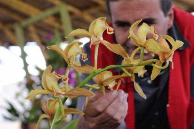 Exposición Nacional de Orquídeas 