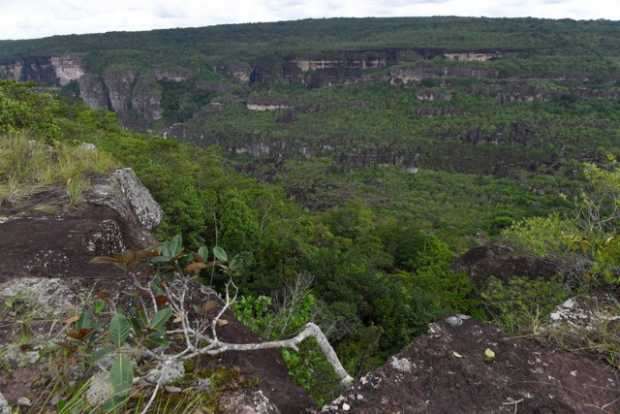 Ampliarán extensión del Parque Natural de la Serranía de Chiribiquete