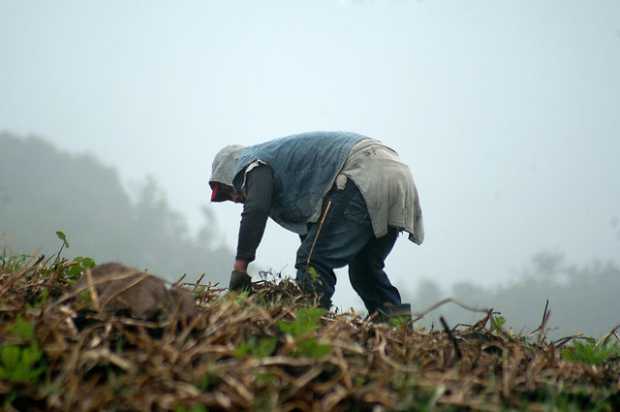 Minagricultura pide a campesinos tomar medidas preventivas por la temporada invernal