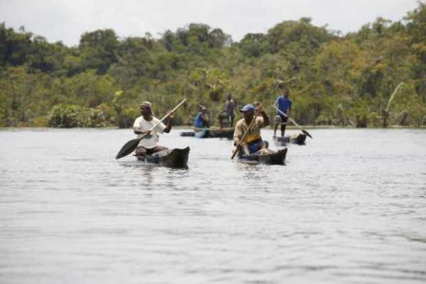 Pescadores de mercurio, así descontaminan los ríos en Chocó