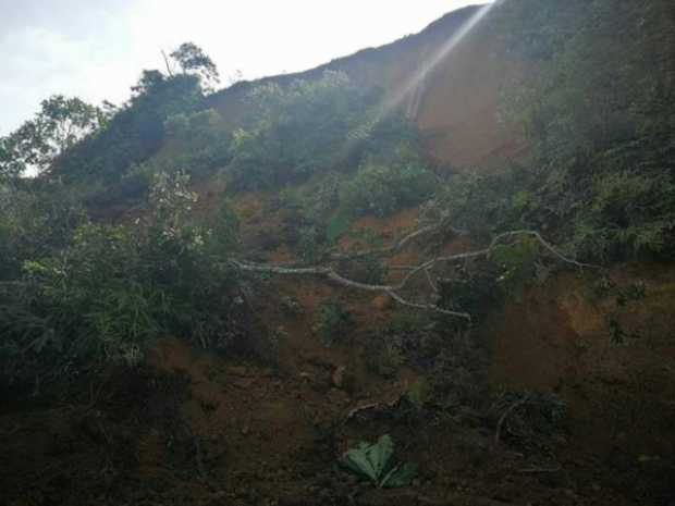 Se detienen labores de remoción en la vía Marquetalia - La Victoria