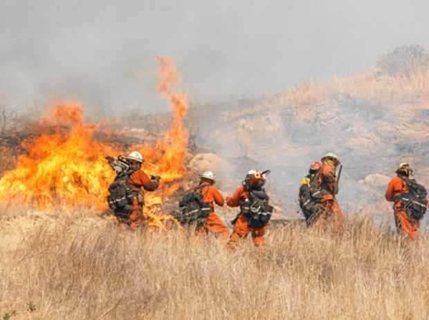 El fuego ha arrasado unas 42.500 hectáreas. Los bomberos intentan sofocar las llamas que ya arrasaron 6 mil 500 edificios. 