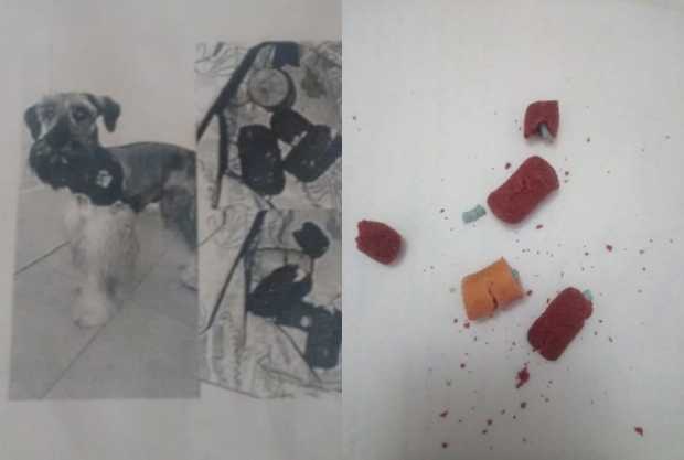 Estas son las salchichas y galletas para perros con veneno, que alguien arrojó a sitios comunes del edificio Terrazas del Río. Estas son las salchichas y galletas para perros con veneno, que alguien arrojó a sitios comunes del edificio Terrazas del Río.