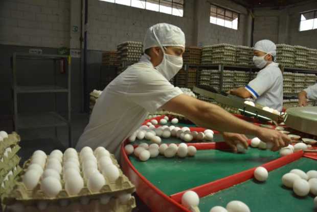 Fenavi hará parte del Consejo Gremial Nacional Fenavi hará parte del Consejo Gremial Nacional