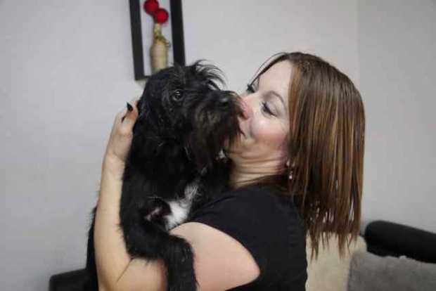 Adriana Villegas rescata perros desde hace nueve años. La mayoría son animales que han sufrido una enfermedad, maltrato o accide