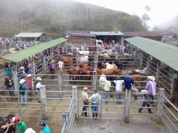 Lo mató un toro en la feria ganadera de Samaná