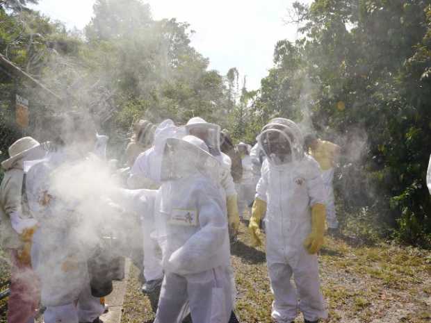 En defensa de la apicultura