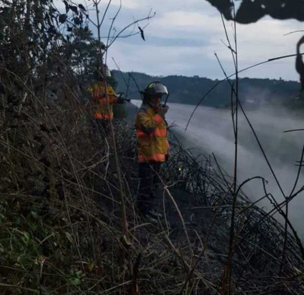 Más de 100 mil hectáreas de bosques consumidas por incendios en Colombia en lo que va de 2019