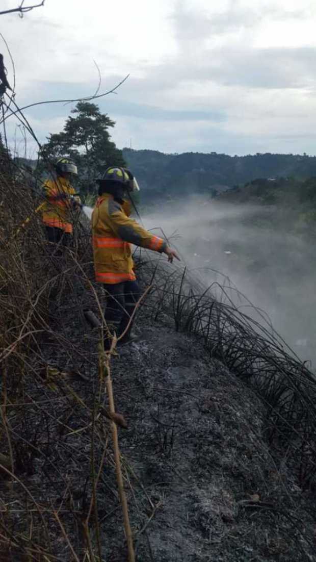 Foto | LA PATRIA Foto | LA PATRIA