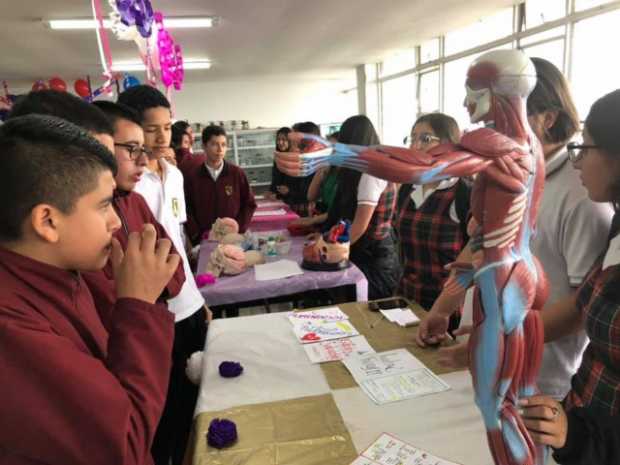 La profundización en salud brinda conocimientos en los propósitos de los profesionales en esta área.