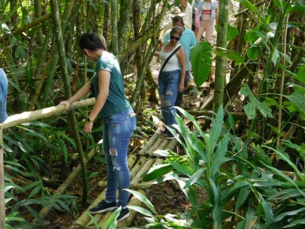 El Socorro, colegio de Viterbo, tiene sendero ecológico 