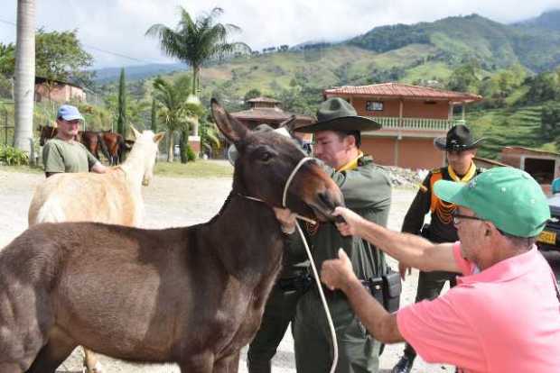 Foto | LA PATRIA