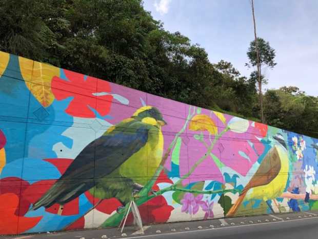 Inauguran el mural de aves entre Dosquebradas y Santa Rosa 