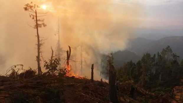 Controlan incendio forestal en vereda Alto Castillo, de Villamaría 