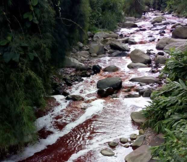 Misterio por los rojos de Olivares