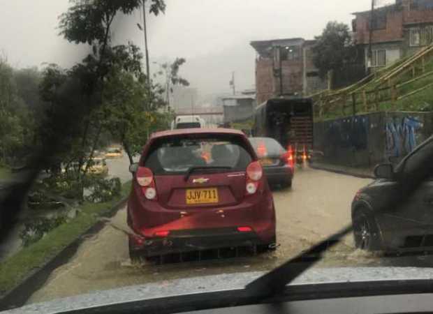 Inundaciones en la Avenida Kevin Ángel y un árbol caído en Los Cedros por la lluvias de esta tarde