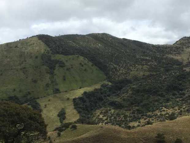  En la foto, predio Barcelonita, que se adquirió hace aproximadamente 10 años y se puede observar el proceso de reforestación. J