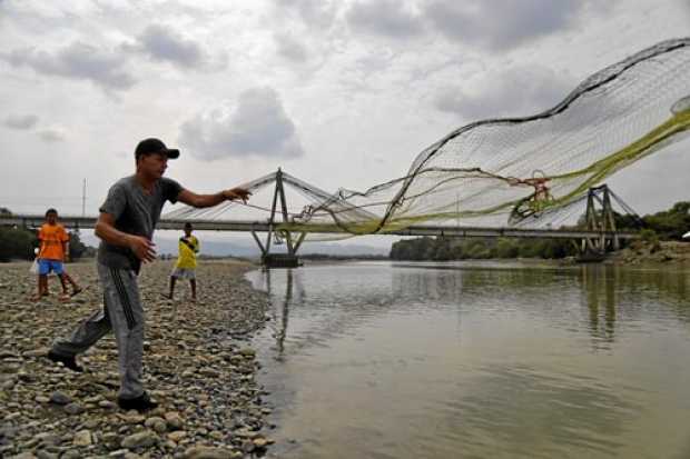 Foto | Colprensa | LA PATRIA  El cierre de las compuestas generó una evidente sequía del Río Cauca. 