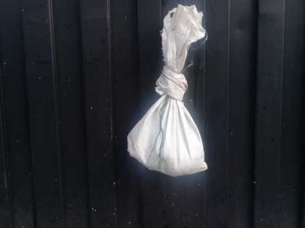 En Norcasia abandonaron los gatos dentro de un costal En Norcasia abandonaron los gatos dentro de un costal