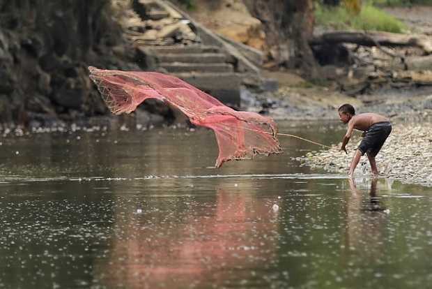 Fallo le otorga derechos al río Cauca