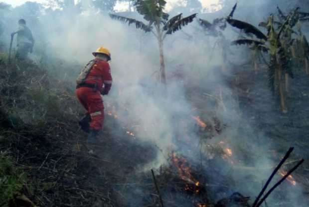 16 hectáreas de cultivos se quemaron en Anserma