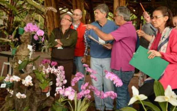 LA PATRIA | Manizales LA PATRIA | Manizales