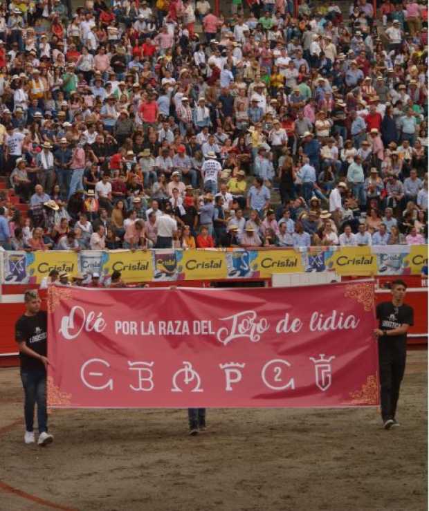 manizales_taurina