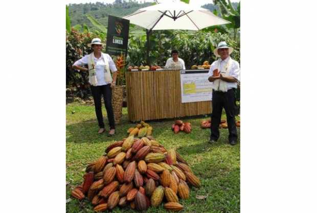 Fundación Lúker y USAID firman proyecto de cooperación para producción de cacao