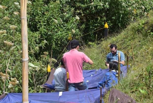 Perchas artificiales con aves para restauración ecológica en la reserva forestal el Popal, otra idea de estudiantes del Cinoc.