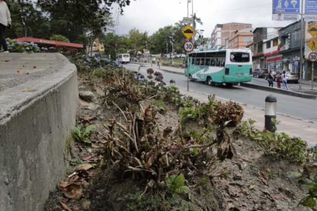 Parques de Manizales en mal estado