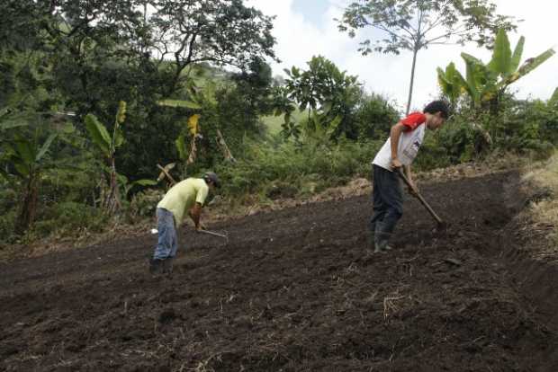 AYUDAS AGRO