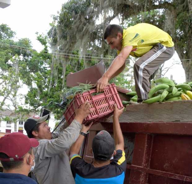 En Salamina (Caldas), seis toneladas de alimentos dona el campo para el pueblo
