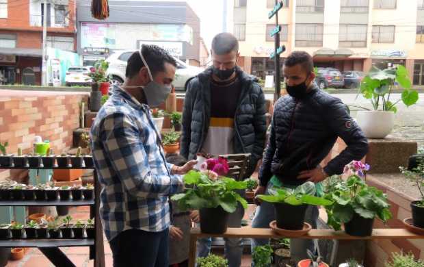 Doble terapia: Jardinería y manualidades