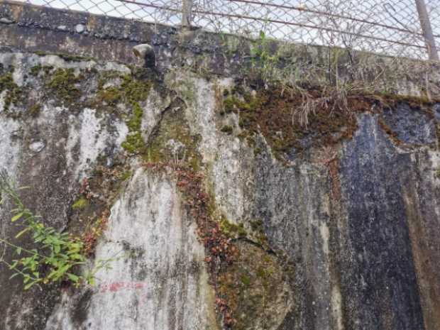 El muro que divide a la escuela Julio Zuluaga y del Parque Observatorio genera temor en la comunidad.