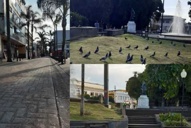 La soledad de una tarde de toque de queda en el Centro de Manizales