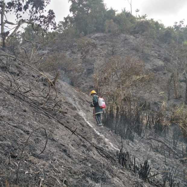 Bomberos controlaron dos incendios forestales en Marquetalia