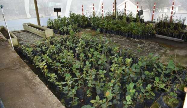 Minambiente fortalecerá la conservación de los Parques Nacionales Naturales