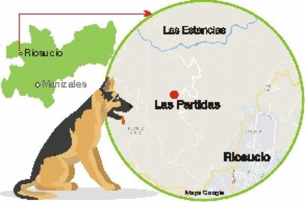 Ordenan indemnizar a una mujer porque un perro la mordió en Riosucio Ordenan indemnizar a una mujer porque un perro la mordió en Riosucio