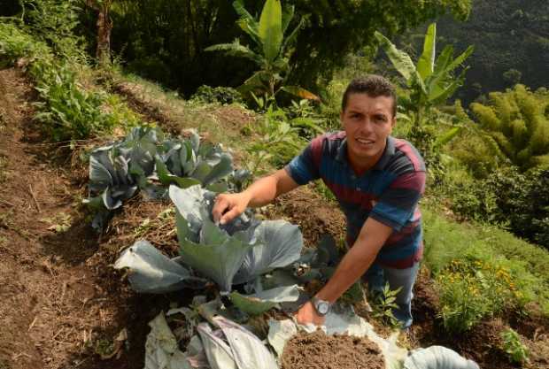 Orlando Arias, de la vereda Guacas (Manizales), vende sus hortalizas por Whatsapp