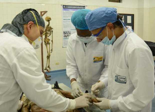 Gustavo Toro, coordinador de la Anoteca de la UAM aplica la técnica de inyección para la conservación de los cadáveres. 