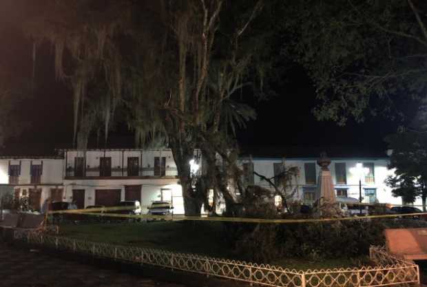 Ramas de árboles cayeron en el parque de Salamina. 