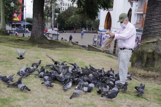 Don Jesús Gómez no ha abandonado las palomas en esta cuarentena. Él llega y les da migas de pan.