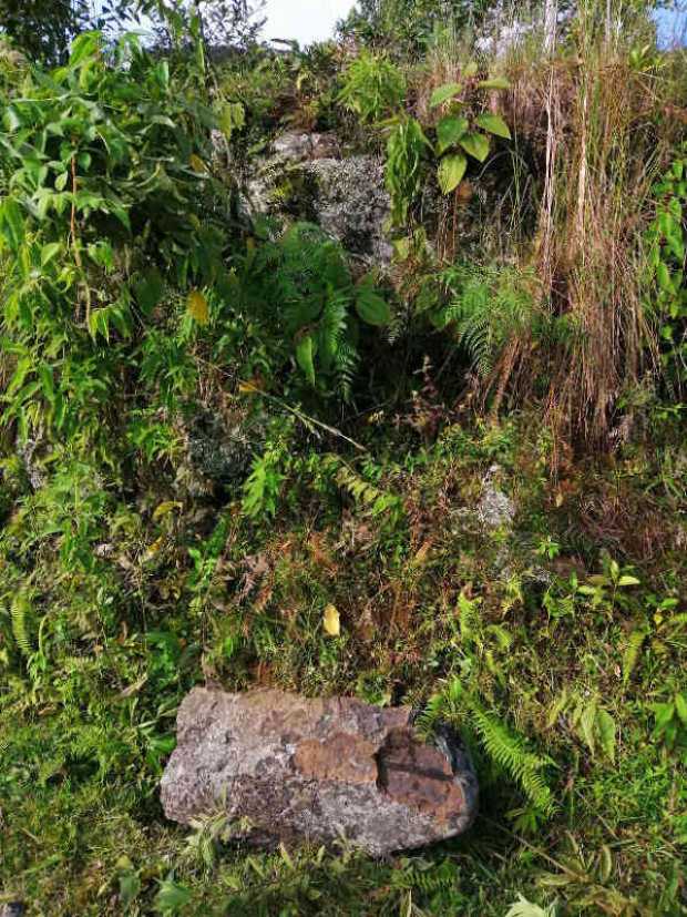 La piedra que rodò La piedra que rodò